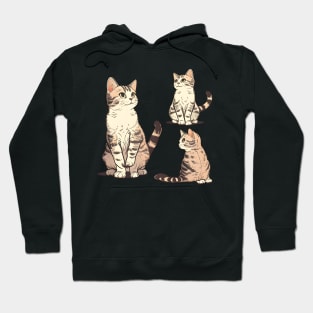 Yes All I Need Is This Cat Funny Cat Lover - Cute Cats Hoodie